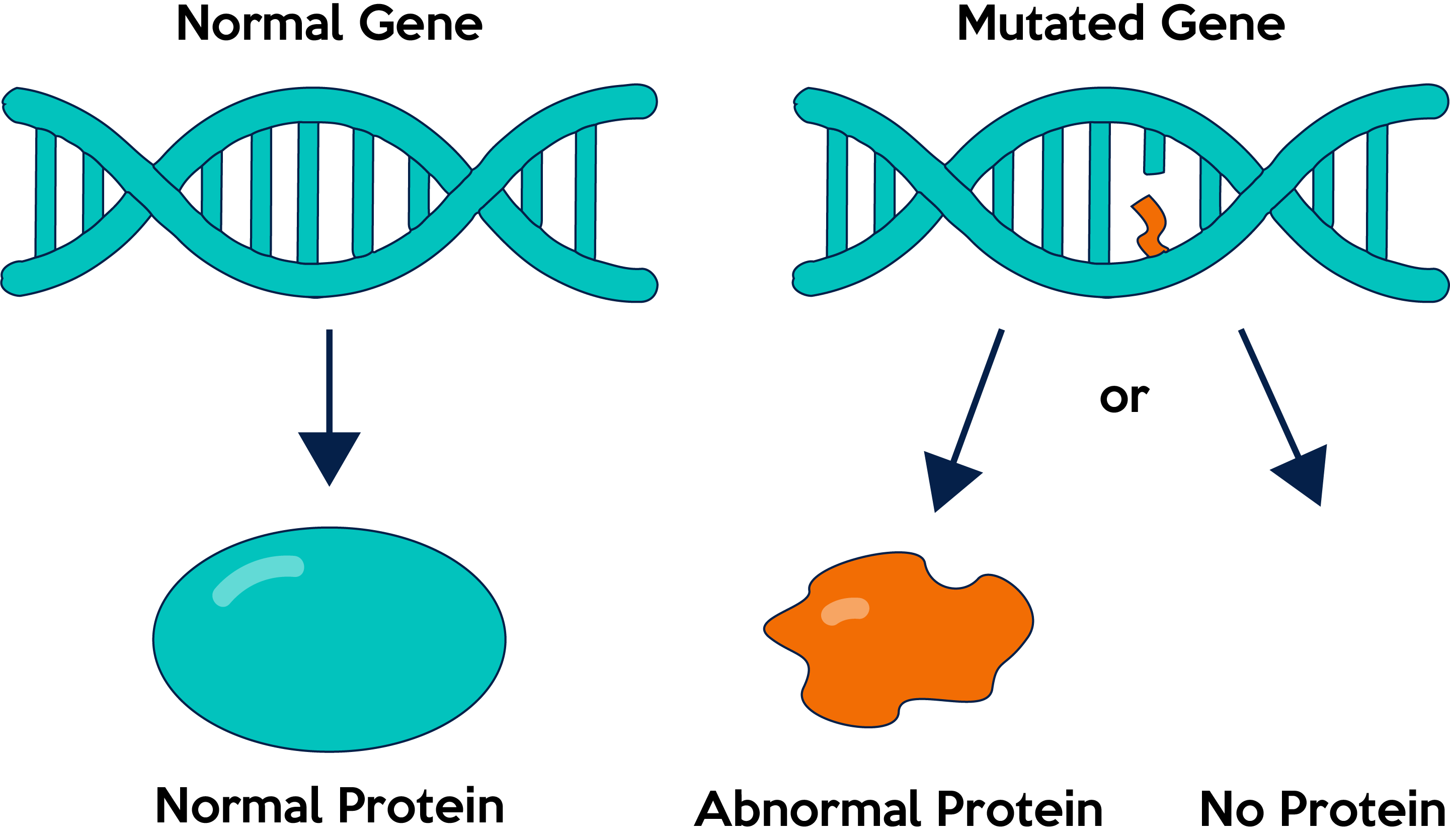 Транскрипция мутация. Мутация ДНК. Мутация Гена. Мутации в генах. Мутация в гене.